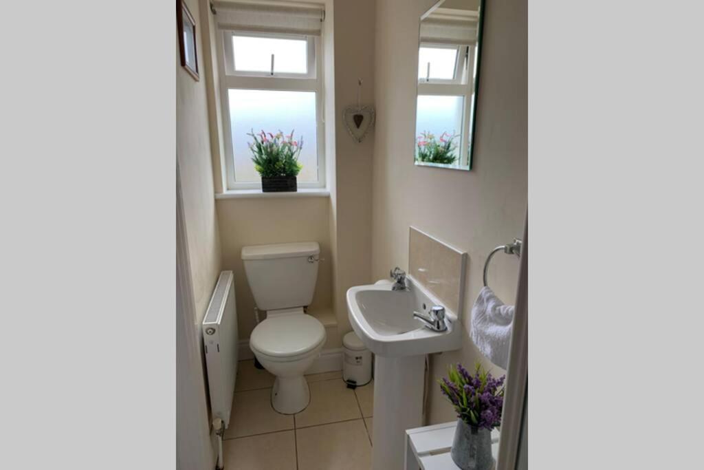 Two Bedroom Town House Beside The River Barrow Карлоу Экстерьер фото