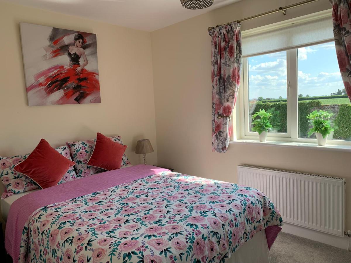 Two Bedroom Town House Beside The River Barrow Карлоу Экстерьер фото