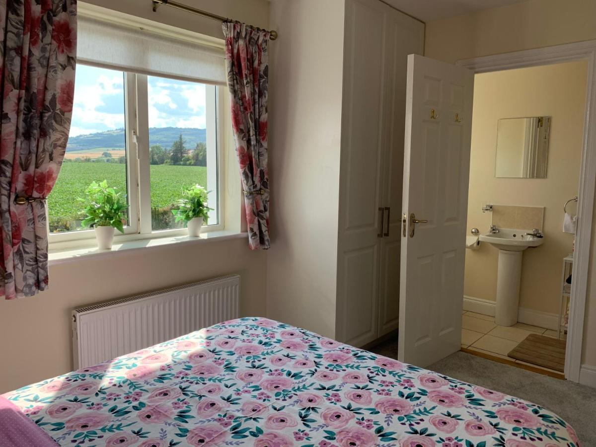 Two Bedroom Town House Beside The River Barrow Карлоу Экстерьер фото