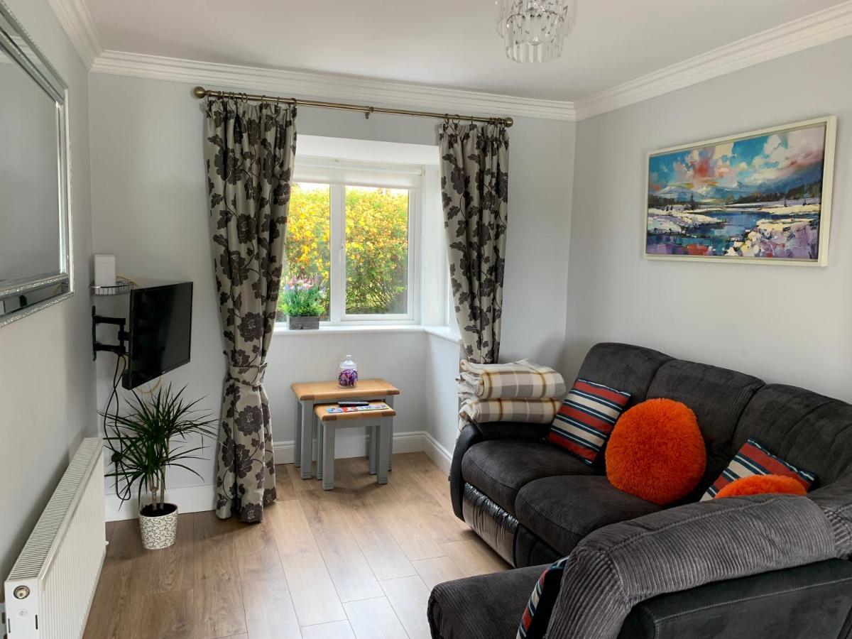 Two Bedroom Town House Beside The River Barrow Карлоу Экстерьер фото